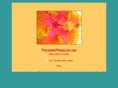 prostatepleasure.net