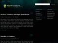 flashwarrior.org