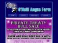 oneillangusfarm.com
