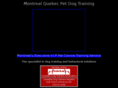 quebecdogtraining.com