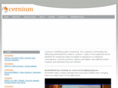 cernium.com