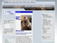 rootsandwingsministries.org