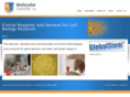 moleculartransfer.com