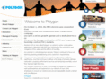 polygonr3codeblue.com