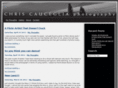 chriscauceglia.com