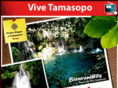 vivetamasopo.com.mx