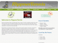 rippnertennis.com
