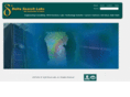 deltasearchlabs.com