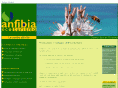 anfibia.it