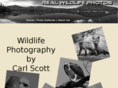 realwildlifephotos.com
