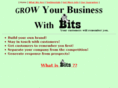 bitsnewsletter.net