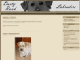 dustyroadlabradors.com