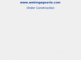 webingegneria.com