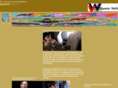 vicenteweb.es