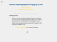 reprosgraphicssupply.com