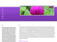ccsst.net