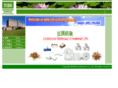 evercom-intl.com