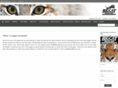 bigcatrescue.mobi