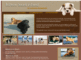 hiltonheadpetrentals.com