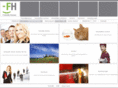 xn--immobilienrtsel-blb.com