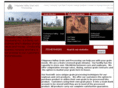 chippewavalleygrainandprocessing.com