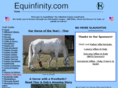 equinfinity.com