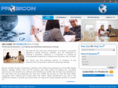 probiconsolutions.com