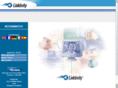 intellisupport.net