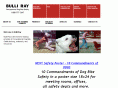 bulliray.com