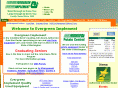 evergreen-implement.com