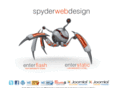 spyderwebdesign.net