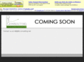 db-consulting.net