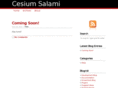 cesiumsalami.com