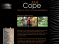 juliecopeart.com