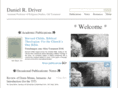 danieldriver.net