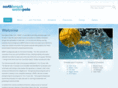 illwaterpolo.com