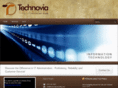 technoviaconsulting.com