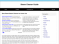 thebeststeamcleaners.com
