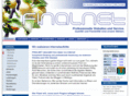 finalnet.info