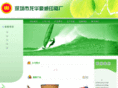 haoweiys.com