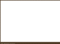lopalizer.net