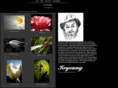 kcyoungfineartimages.com