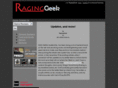 raginggeek.net