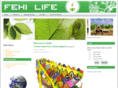 fehilife.com