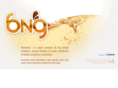 bngbebidas.com