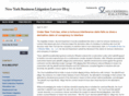 nylitigationblog.net