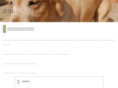 staroad.net