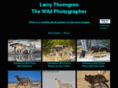 larrythorngren.com