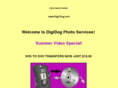 digi-dog.com