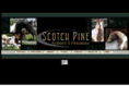 scotchpinepintabians.com